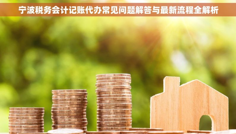 宁波税务会计记账代办常见问题解答与最新流程全解析