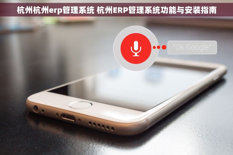 杭州杭州erp管理系统 杭州ERP管理系统功能与安装指南