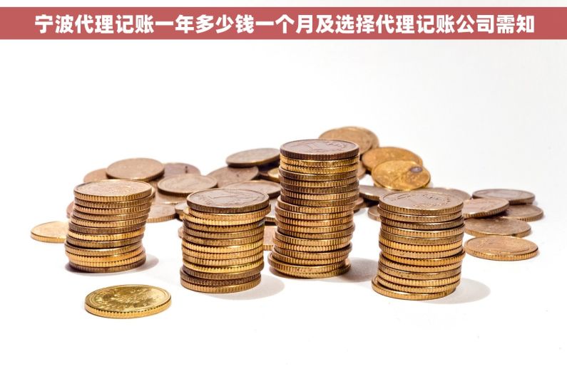 宁波代理记账一年多少钱一个月及选择代理记账公司需知