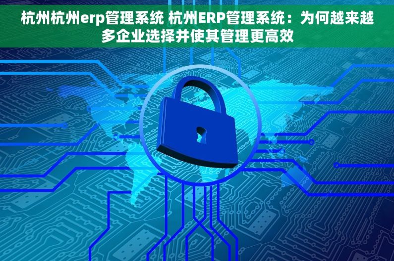 杭州杭州erp管理系统 杭州ERP管理系统：为何越来越多企业选择并使其管理更高效