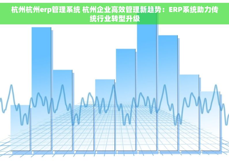 杭州杭州erp管理系统 杭州企业高效管理新趋势：ERP系统助力传统行业转型升级