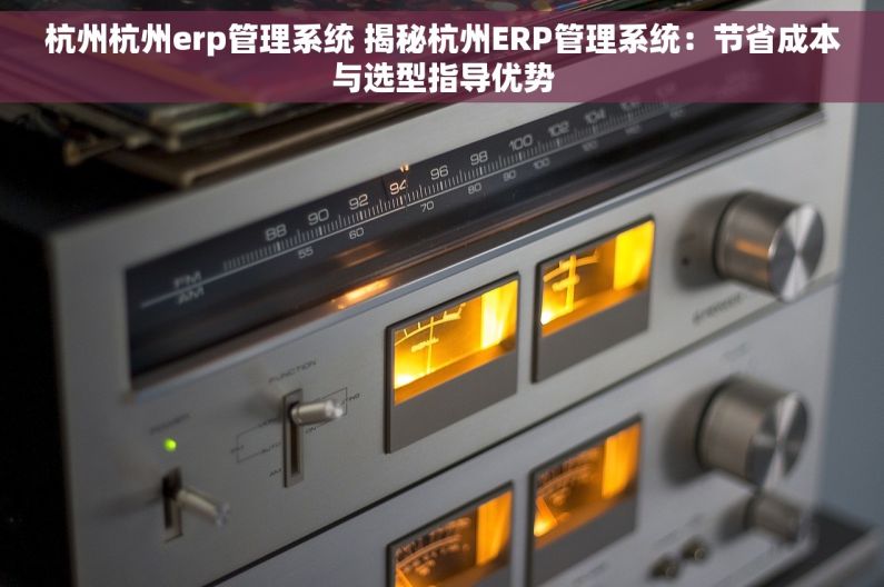 杭州杭州erp管理系统 揭秘杭州ERP管理系统：节省成本与选型指导优势