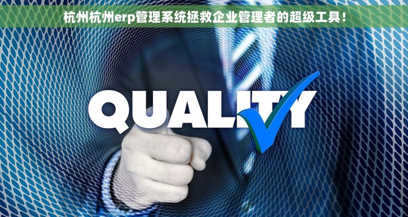 杭州杭州erp管理系统拯救企业管理者的超级工具！