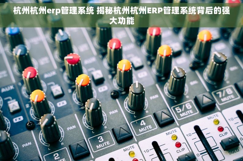 杭州杭州erp管理系统 揭秘杭州杭州ERP管理系统背后的强大功能