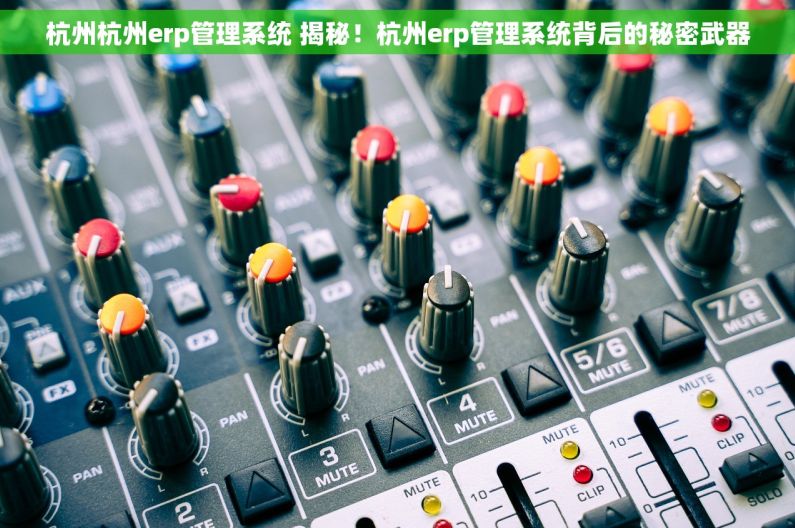 杭州杭州erp管理系统 揭秘！杭州erp管理系统背后的秘密武器
