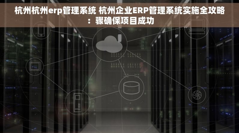 杭州杭州erp管理系统 杭州企业ERP管理系统实施全攻略：骤确保项目成功