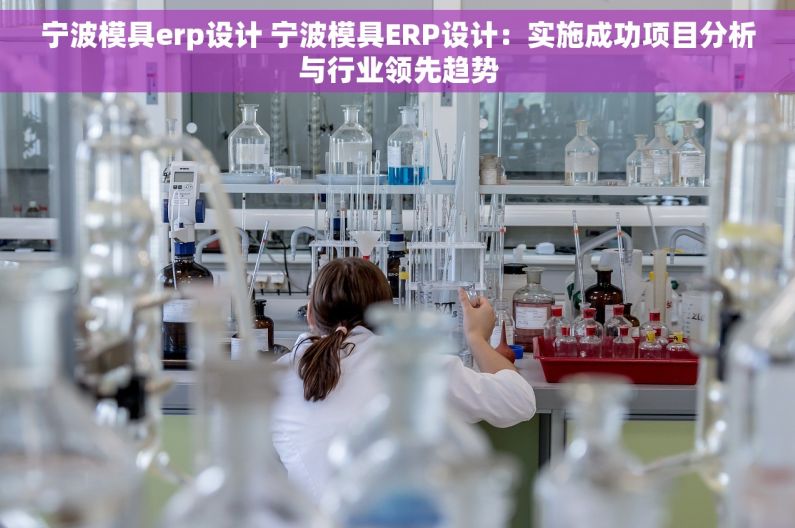 宁波模具erp设计 宁波模具ERP设计：实施成功项目分析与行业领先趋势