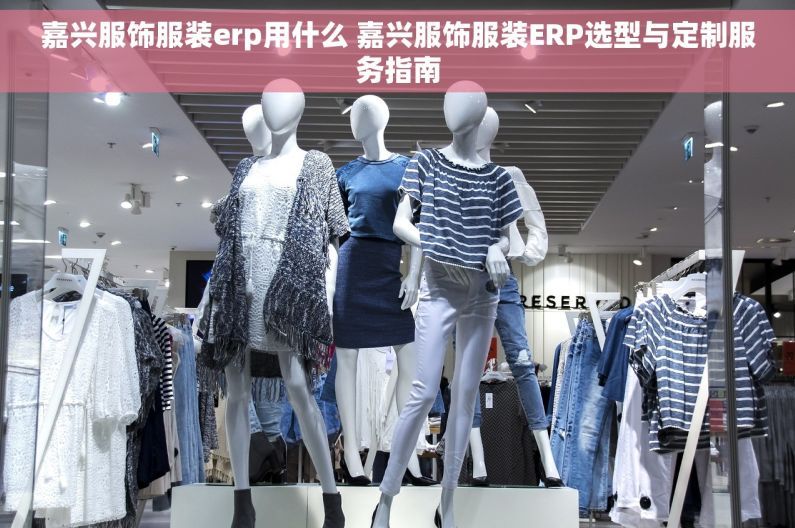 嘉兴服饰服装erp用什么 嘉兴服饰服装ERP选型与定制服务指南
