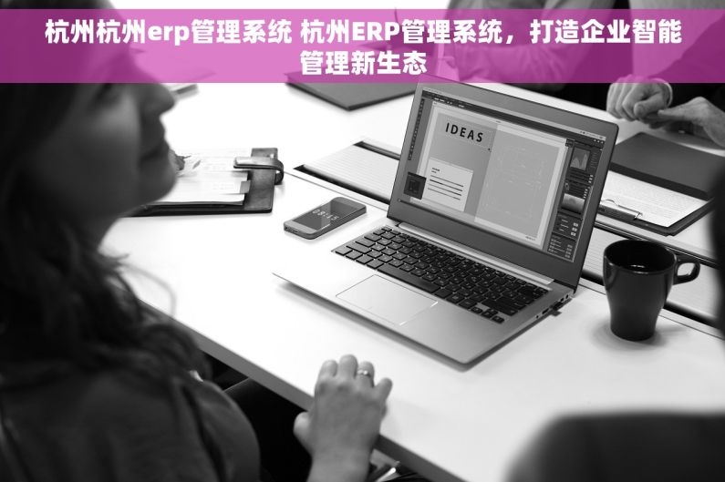 杭州杭州erp管理系统 杭州ERP管理系统，打造企业智能管理新生态