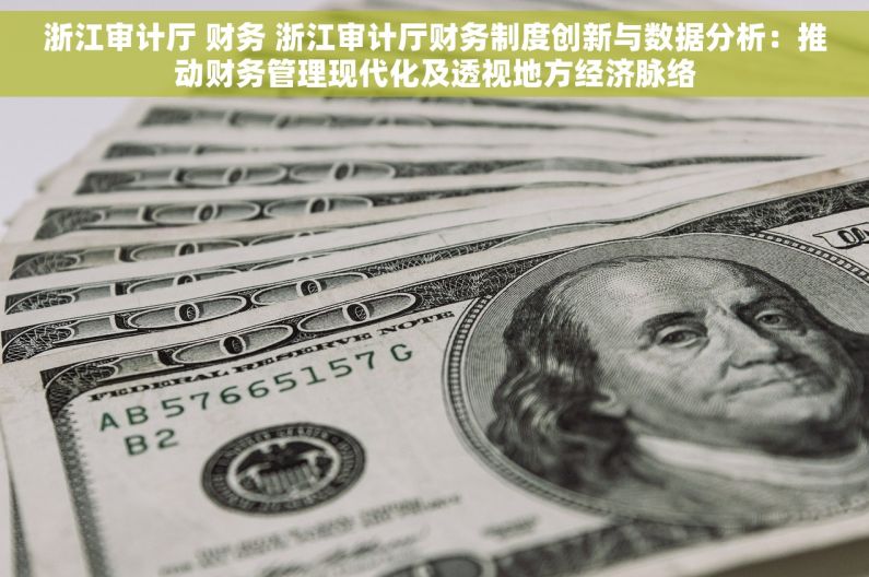 浙江审计厅 财务 浙江审计厅财务制度创新与数据分析：推动财务管理现代化及透视地方经济脉络
