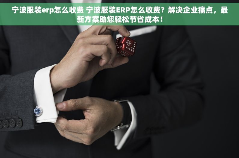 宁波服装erp怎么收费 宁波服装ERP怎么收费？解决企业痛点，最新方案助您轻松节省成本！