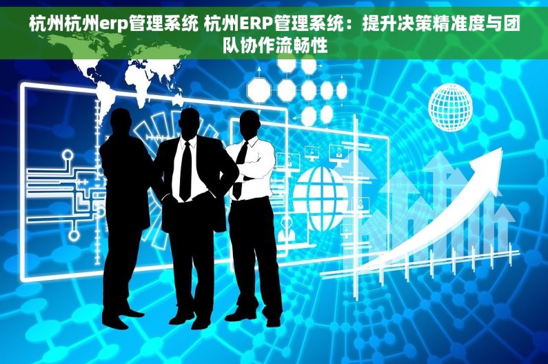杭州杭州erp管理系统 杭州ERP管理系统：提升决策精准度与团队协作流畅性