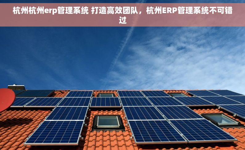 杭州杭州erp管理系统 打造高效团队，杭州ERP管理系统不可错过