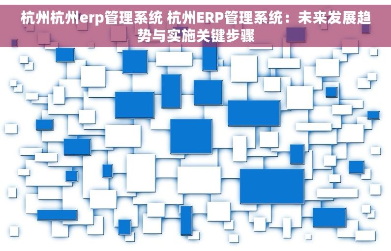 杭州杭州erp管理系统 杭州ERP管理系统：未来发展趋势与实施关键步骤
