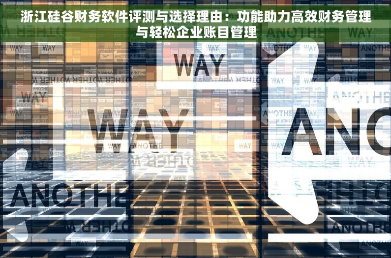浙江硅谷财务软件评测与选择理由：功能助力高效财务管理与轻松企业账目管理