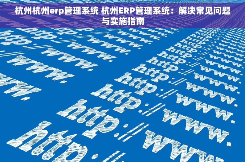 杭州杭州erp管理系统 杭州ERP管理系统：解决常见问题与实施指南