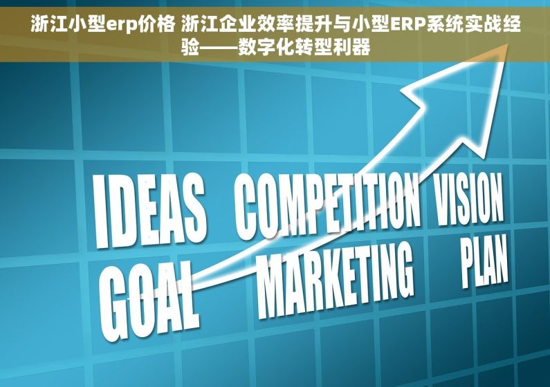 浙江小型erp价格 浙江企业效率提升与小型ERP系统实战经验——数字化转型利器