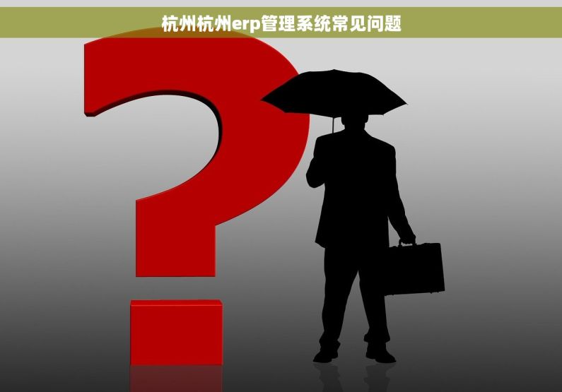杭州杭州erp管理系统常见问题