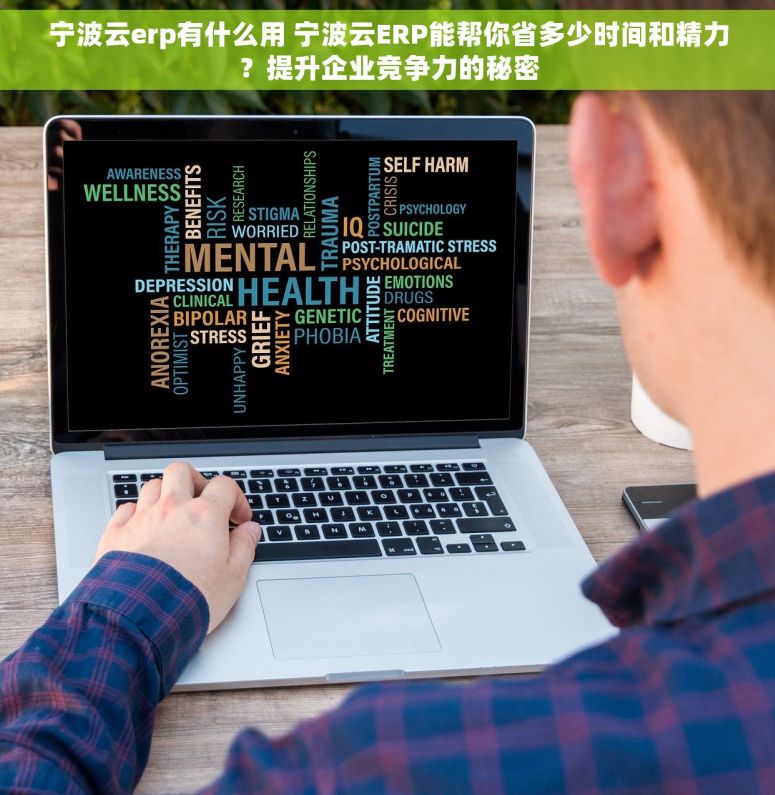 宁波云erp有什么用 宁波云ERP能帮你省多少时间和精力？提升企业竞争力的秘密
