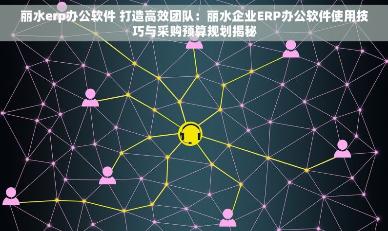 丽水erp办公软件 打造高效团队：丽水企业ERP办公软件使用技巧与采购预算规划揭秘