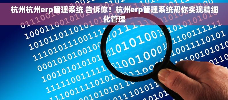 杭州杭州erp管理系统 告诉你！杭州erp管理系统帮你实现精细化管理