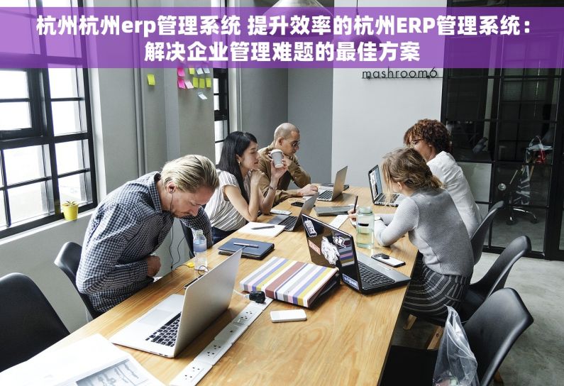 杭州杭州erp管理系统 提升效率的杭州ERP管理系统：解决企业管理难题的最佳方案