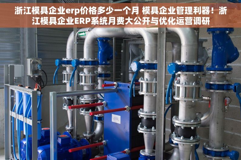 浙江模具企业erp价格多少一个月 模具企业管理利器！浙江模具企业ERP系统月费大公开与优化运营调研