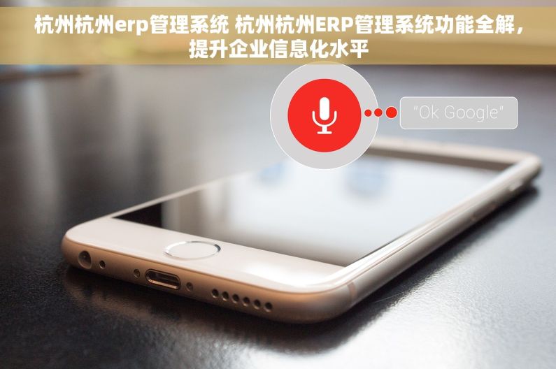 杭州杭州erp管理系统 杭州杭州ERP管理系统功能全解，提升企业信息化水平