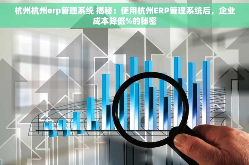 杭州杭州erp管理系统 揭秘：使用杭州ERP管理系统后，企业成本降低%的秘密