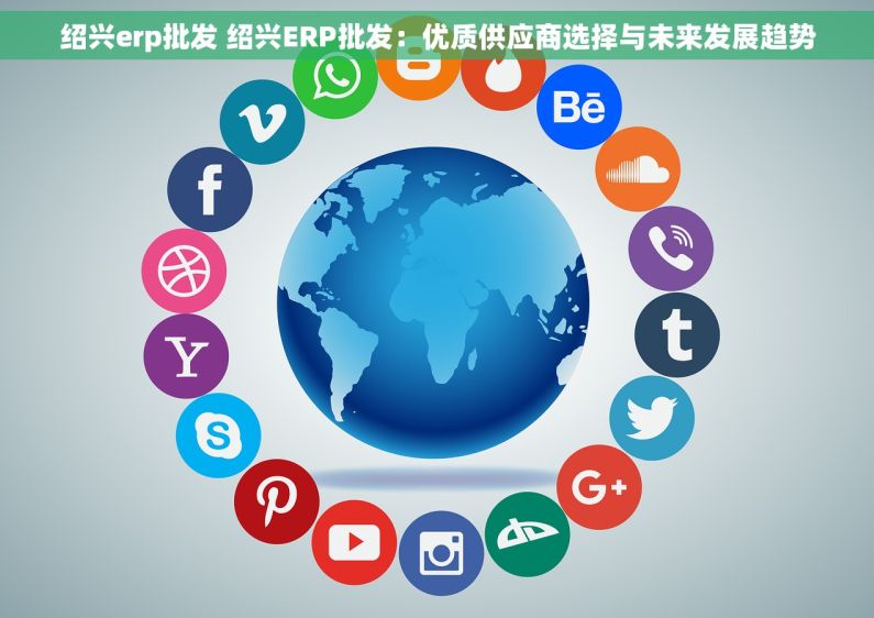 绍兴erp批发 绍兴ERP批发：优质供应商选择与未来发展趋势
