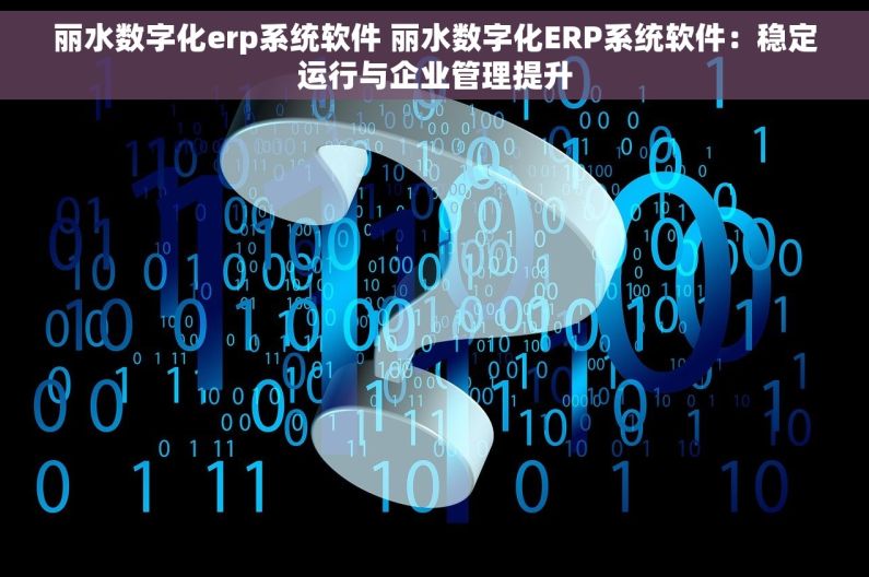丽水数字化erp系统软件 丽水数字化ERP系统软件：稳定运行与企业管理提升