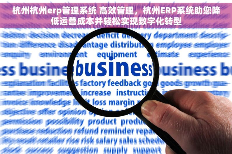 杭州杭州erp管理系统 高效管理，杭州ERP系统助您降低运营成本并轻松实现数字化转型