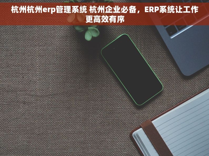 杭州杭州erp管理系统 杭州企业必备，ERP系统让工作更高效有序