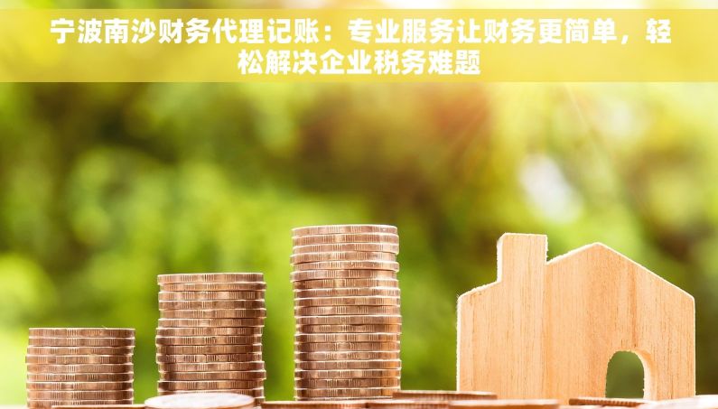 宁波南沙财务代理记账：专业服务让财务更简单，轻松解决企业税务难题