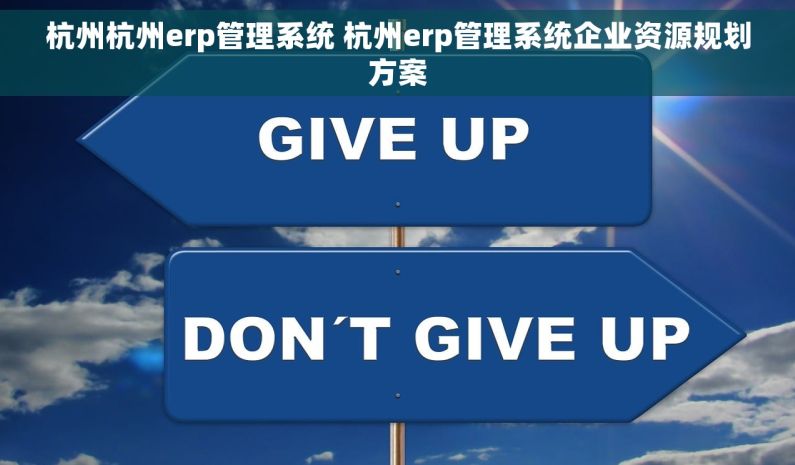 杭州杭州erp管理系统 杭州erp管理系统企业资源规划方案