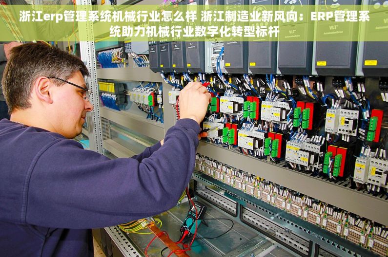 浙江erp管理系统机械行业怎么样 浙江制造业新风向：ERP管理系统助力机械行业数字化转型标杆