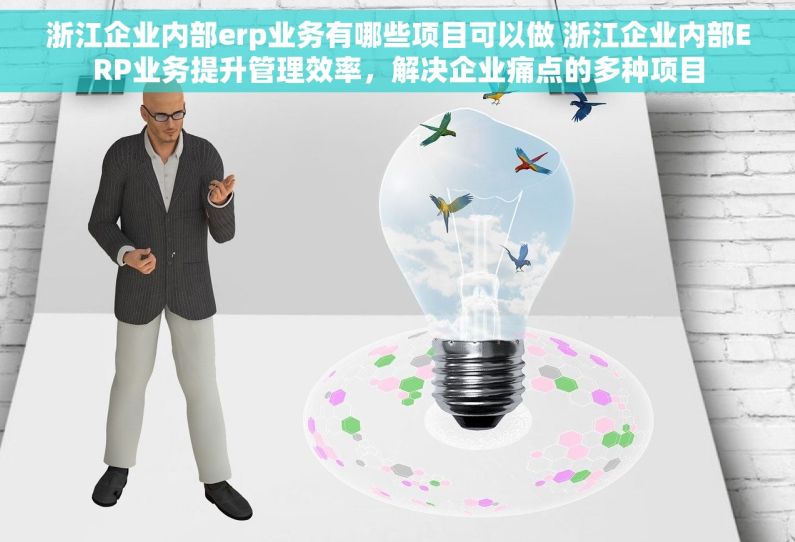 浙江企业内部erp业务有哪些项目可以做 浙江企业内部ERP业务提升管理效率，解决企业痛点的多种项目