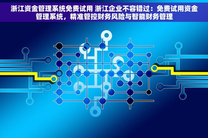 浙江资金管理系统免费试用 浙江企业不容错过：免费试用资金管理系统，精准管控财务风险与智能财务管理