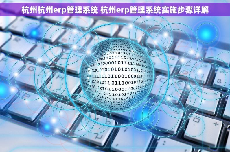 杭州杭州erp管理系统 杭州erp管理系统实施步骤详解