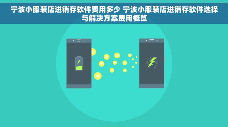 宁波小服装店进销存软件费用多少 宁波小服装店进销存软件选择与解决方案费用概览