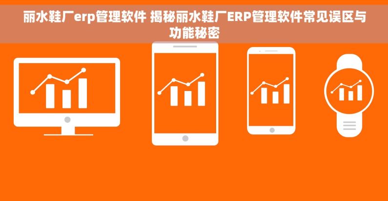 丽水鞋厂erp管理软件 揭秘丽水鞋厂ERP管理软件常见误区与功能秘密