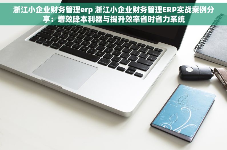 浙江小企业财务管理erp 浙江小企业财务管理ERP实战案例分享：增效降本利器与提升效率省时省力系统