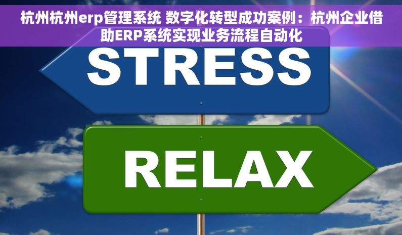 杭州杭州erp管理系统 数字化转型成功案例：杭州企业借助ERP系统实现业务流程自动化