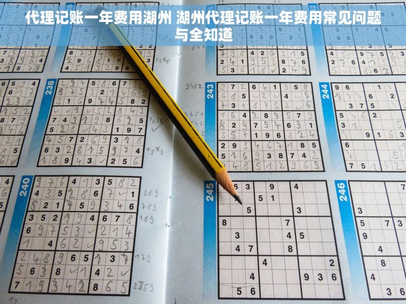 代理记账一年费用湖州 湖州代理记账一年费用常见问题与全知道