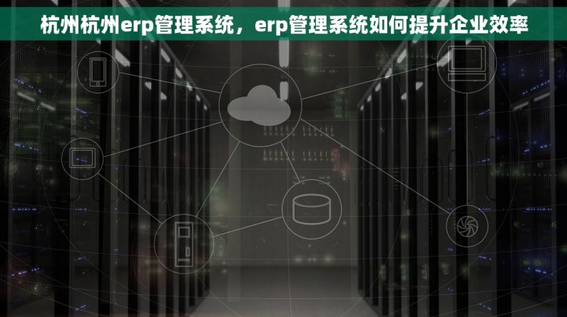 杭州杭州erp管理系统，erp管理系统如何提升企业效率