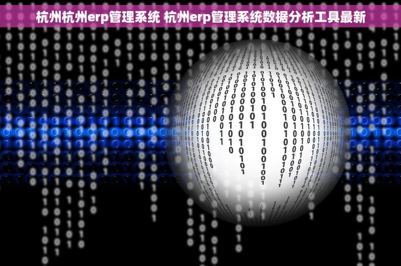 杭州杭州erp管理系统 杭州erp管理系统数据分析工具最新