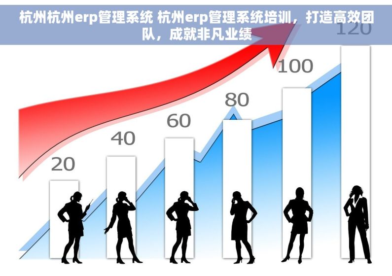杭州杭州erp管理系统 杭州erp管理系统培训，打造高效团队，成就非凡业绩