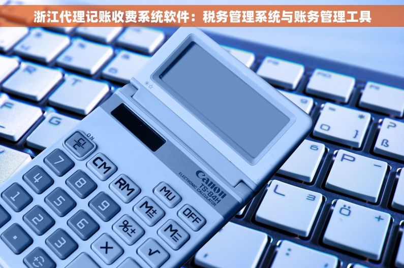 浙江代理记账收费系统软件：税务管理系统与账务管理工具