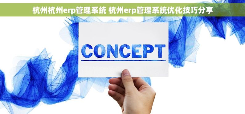 杭州杭州erp管理系统 杭州erp管理系统优化技巧分享