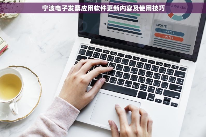 宁波电子发票应用软件更新内容及使用技巧